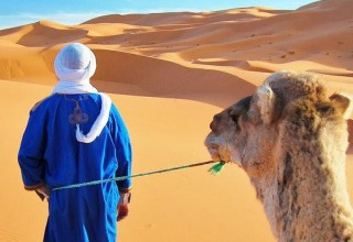 Camel Ride