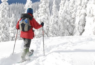 Snowshoeing