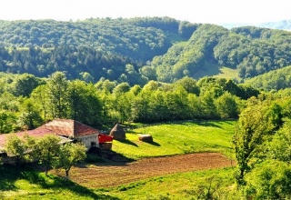 Image representing Romania