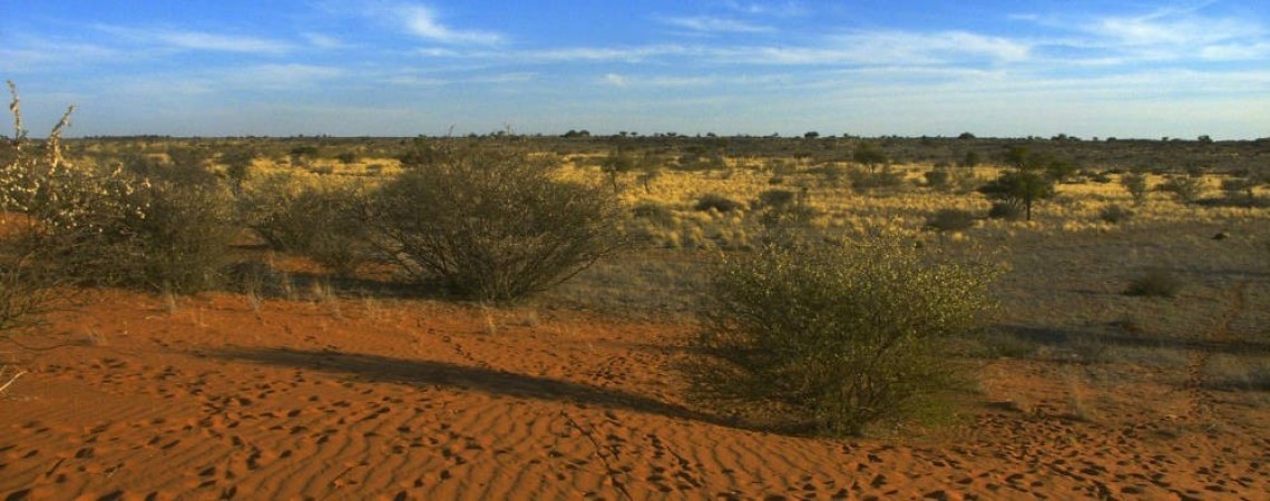 Image representing Southern Africa