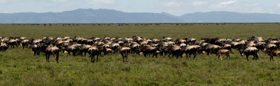 Tanzania