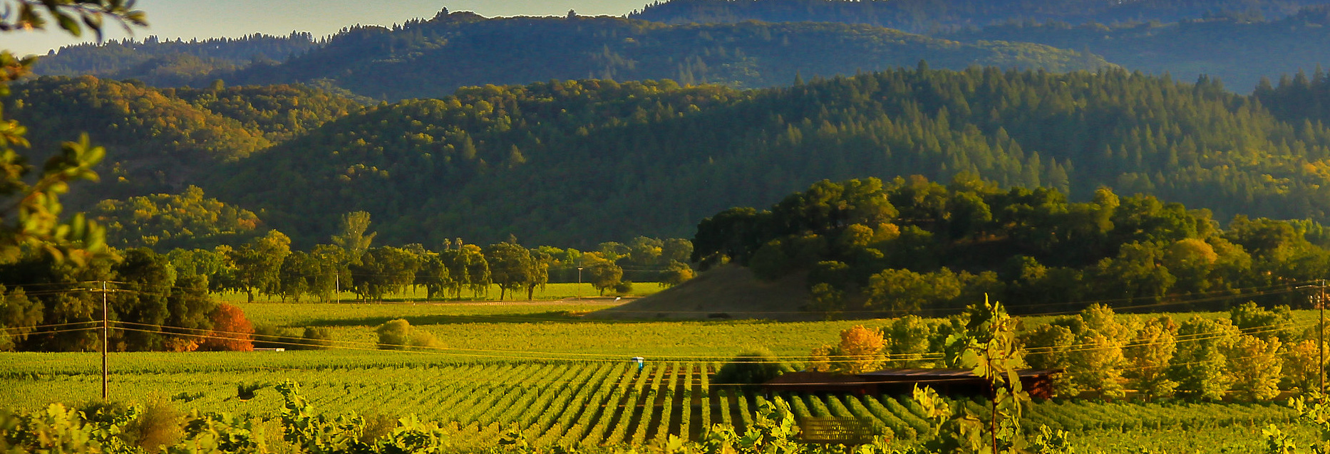 Napa Tours & Activities Project Expedition