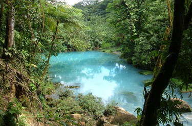 Image representing  Nature Walks